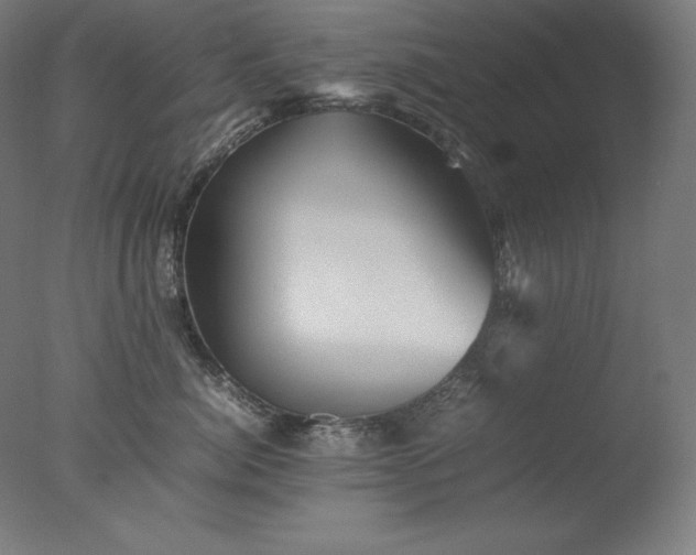 X0000077290764200610271524