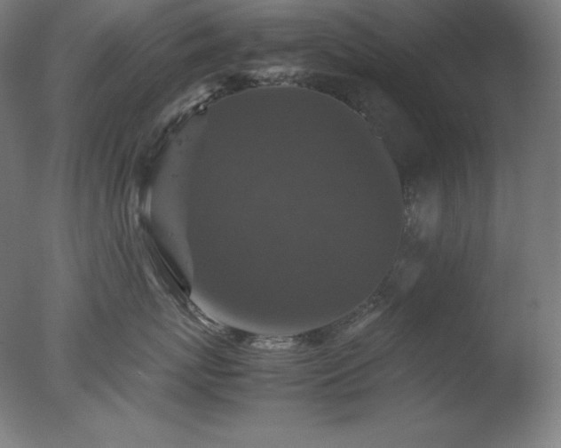 X0000077290767200610271524
