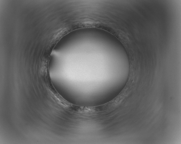 X0000077290768200610271524