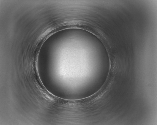 X0000077290778200610271523