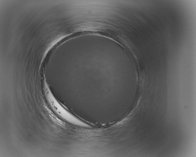 X0000077290779200610271523