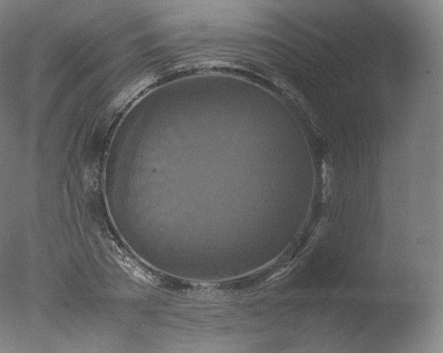 X0000077290785200610271523