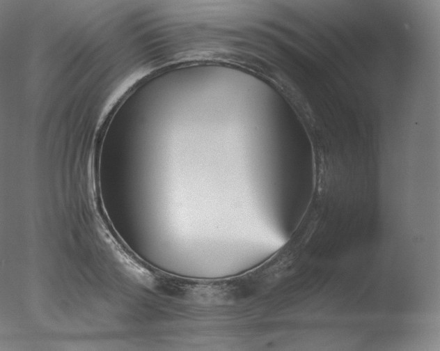 X0000077290796200610271523