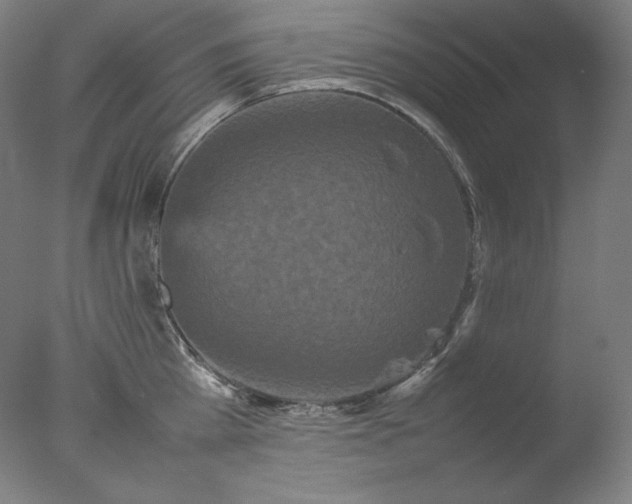 X0000077290809200610271523