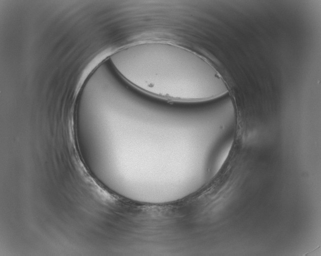 X0000077290812200610271523