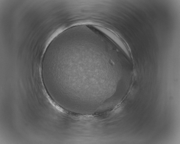 X0000077290813200610271523