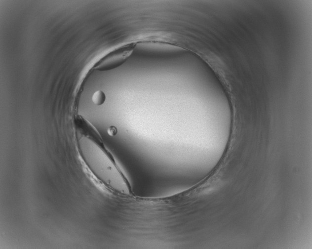 X0000077290816200610271523