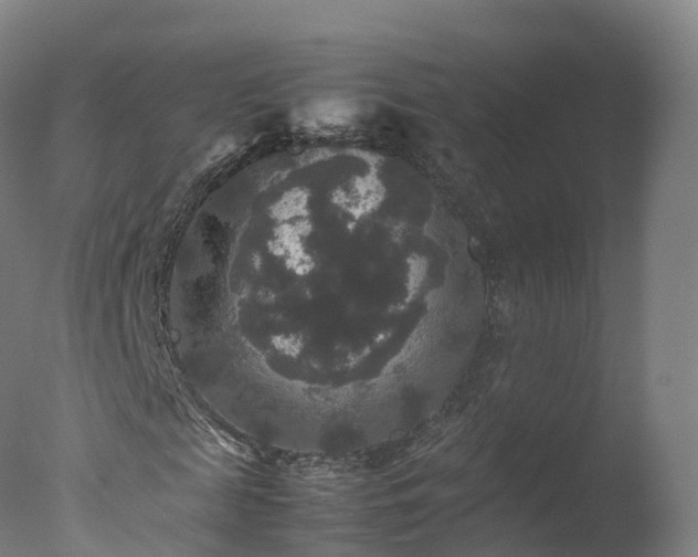 X0000077290817200610271522