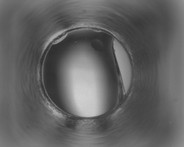 X0000077290846200610271522