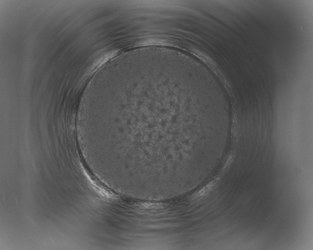 X0000077290849200610271522