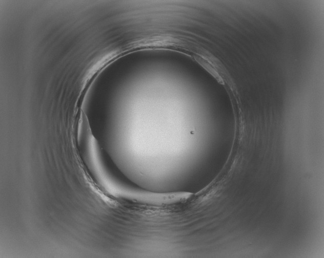 X0000077290850200610271522