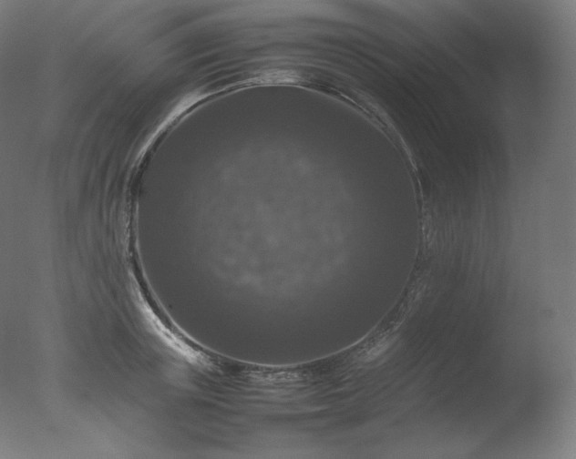 X0000077290851200610271522