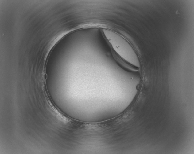 X0000077290852200610271522