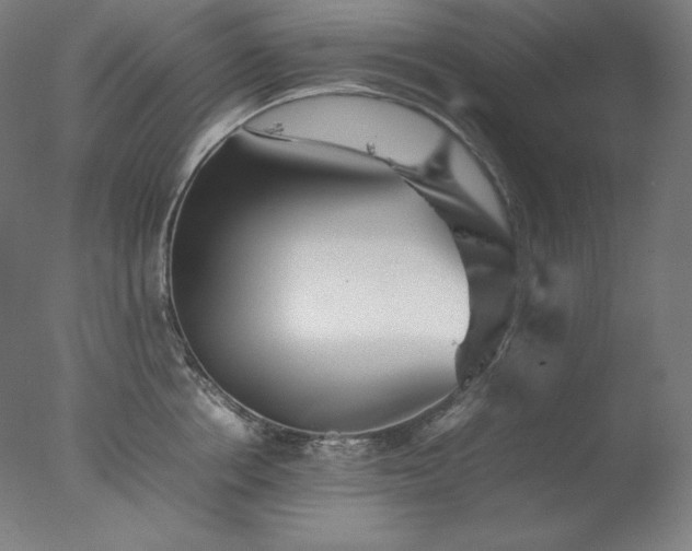 X0000077290858200610271522
