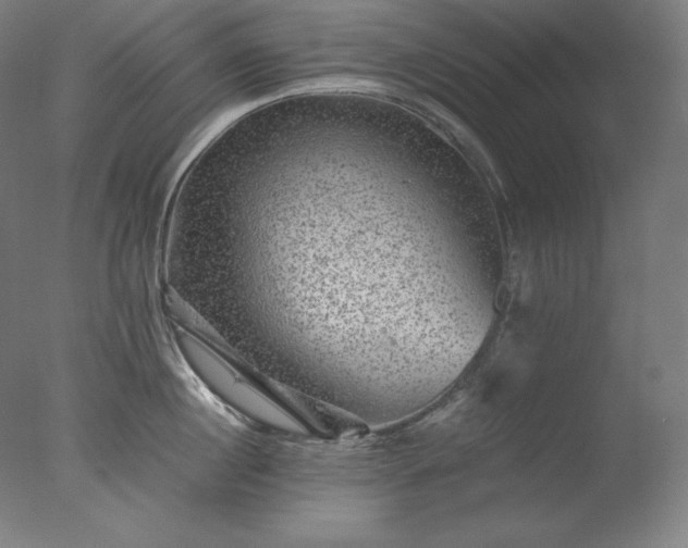 X0000077290860200610271522