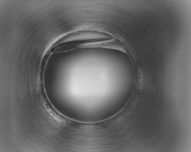 X0000077290880200610271521
