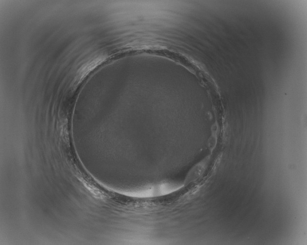 X0000077290881200610271521