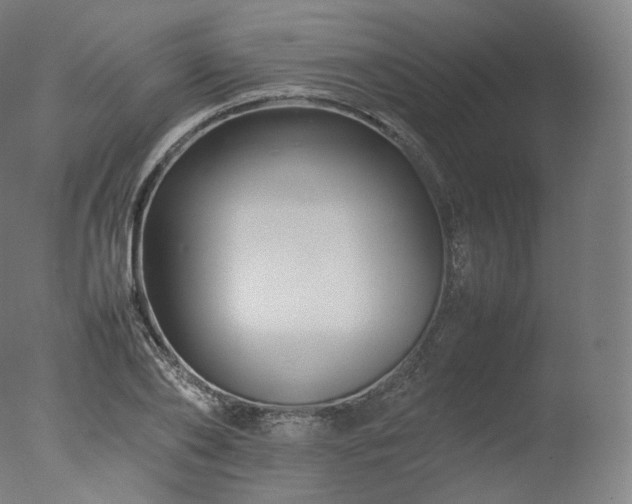 X0000077290886200610271521