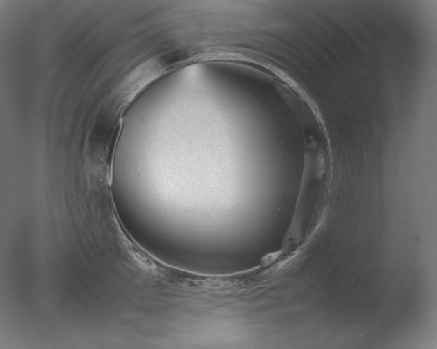 X0000077290905200610271521