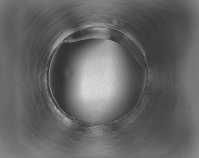 X0000077290906200610271521