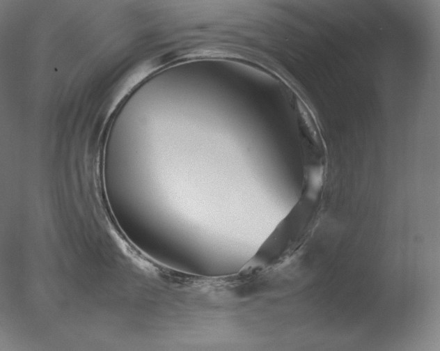 X0000077290909200610271521