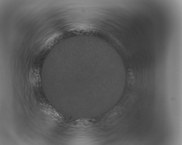 X0000077290918200610271520