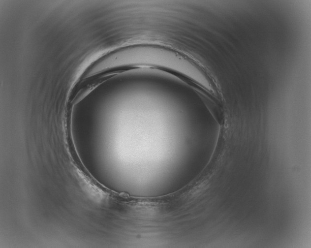 X0000077290942200610271521