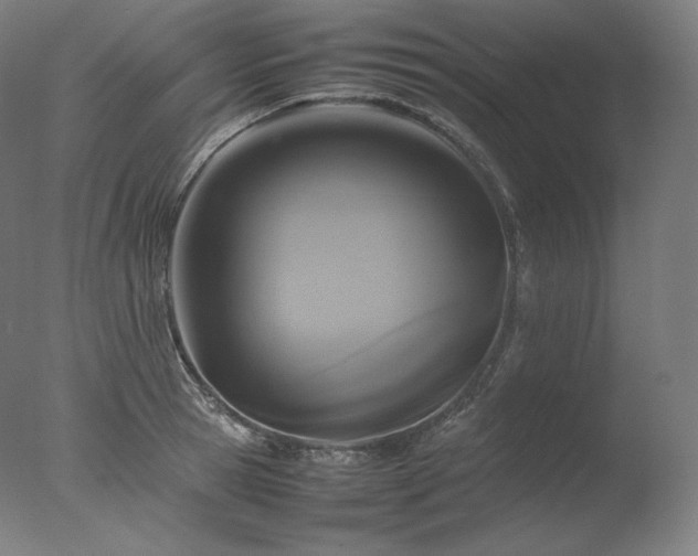 X0000077290945200610271521