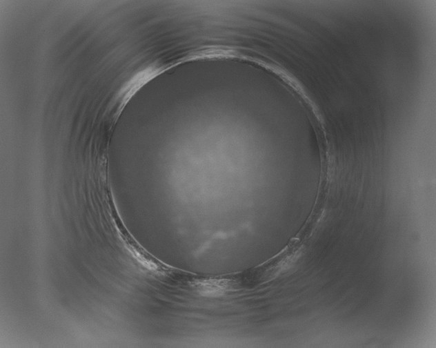 X0000077290953200610271521