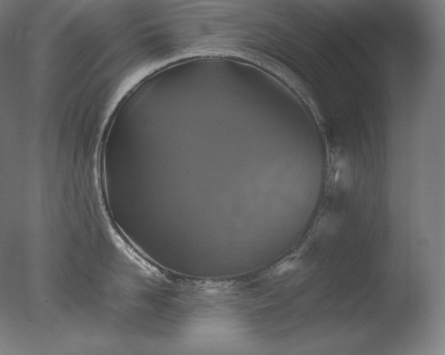 X0000077290958200610271521