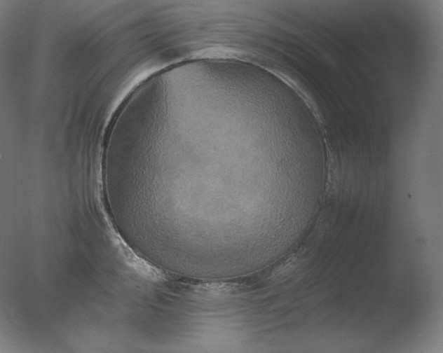X0000077291000200610271519