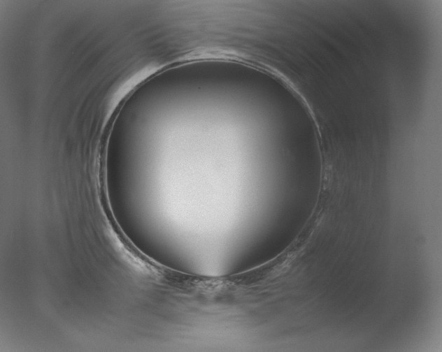 X0000077291003200610271519