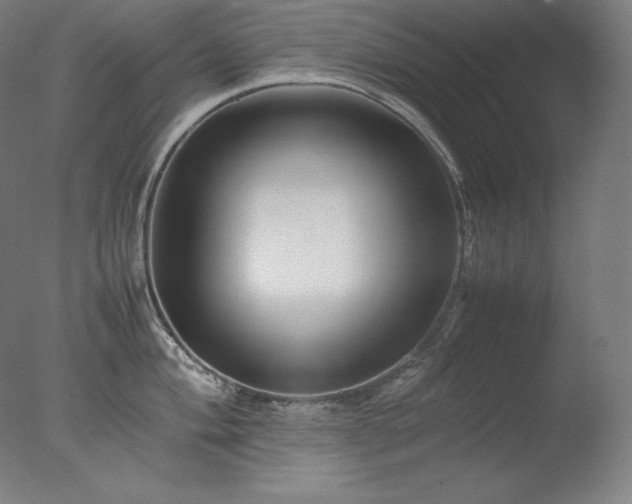 X0000077291004200610271519