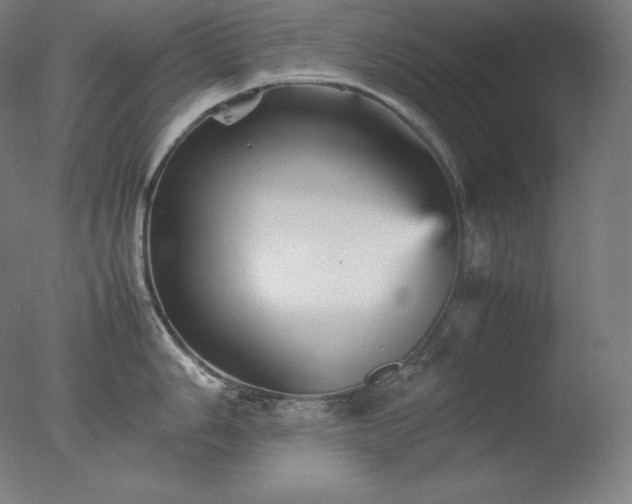 X0000077291006200610271519