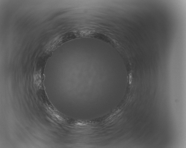 X0000077291011200610271519