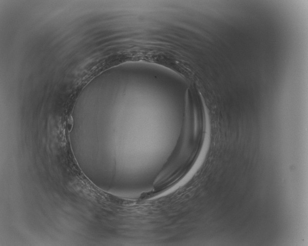 X0000077291013200610271519