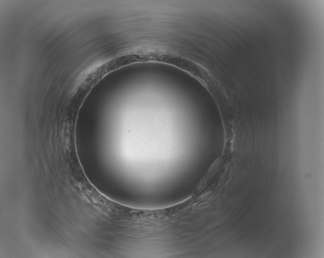 X0000077291016200610271519