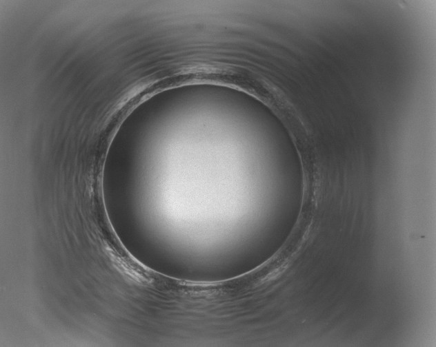 X0000077291017200610271519