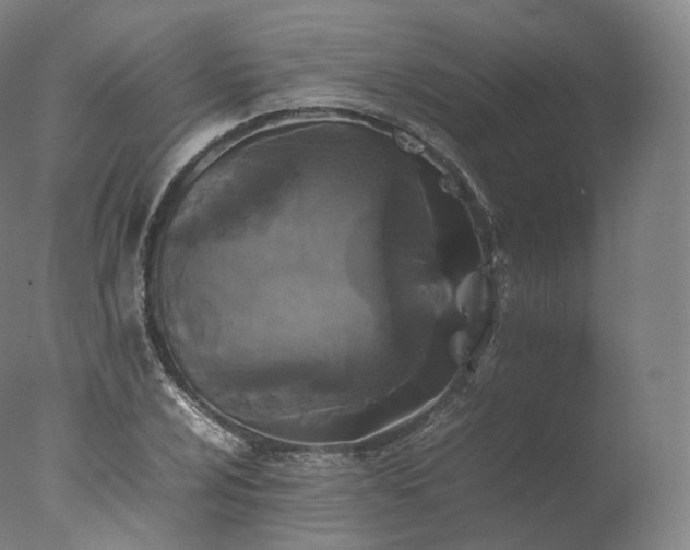 X0000077291024200610271519