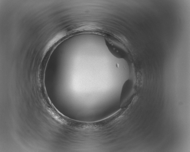X0000077291026200610271519