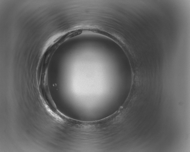 X0000077291030200610271519