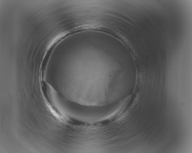X0000077291034200610271519