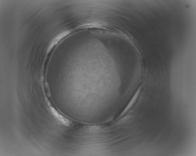 X0000077291042200610271519