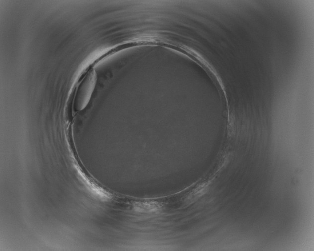 X0000077291045200610271519