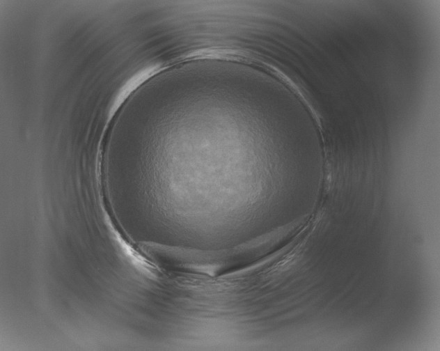 X0000077291050200610271519