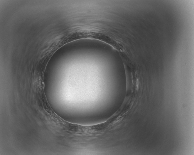 X0000077291061200610271518