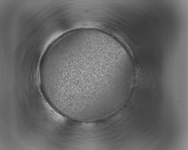 X0000077291080200610271518