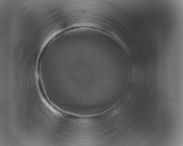 X0000077291084200610271518