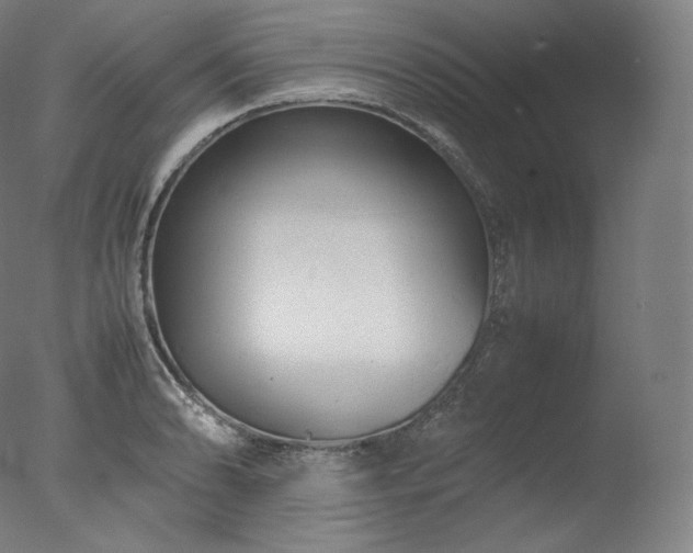 X0000077291086200610271518