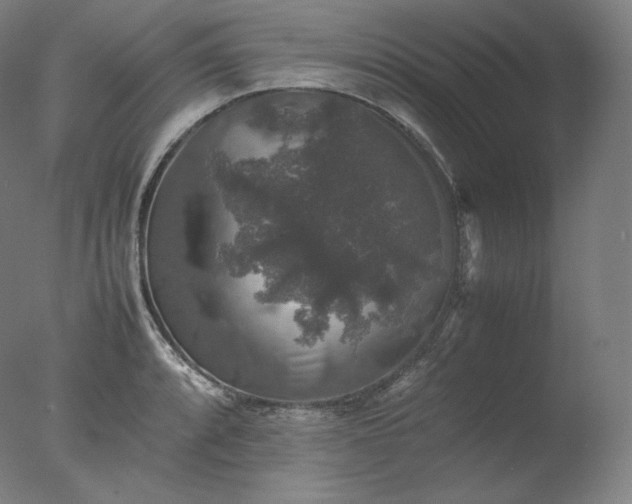 X0000077291088200610271518